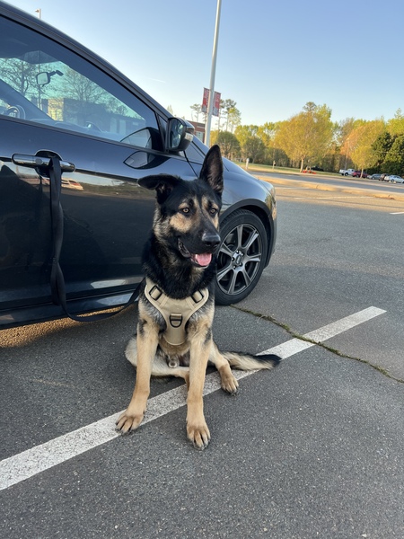 Entry image for Oakley . Clicking this image will show a larger photo