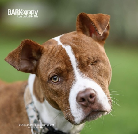 Entry image for Nora . Clicking this image will show a larger photo