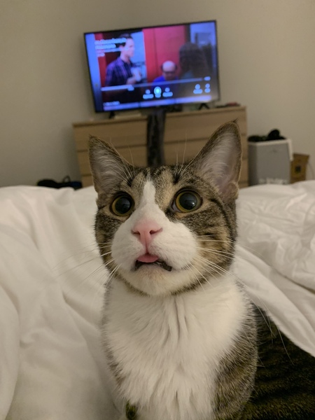 Entry image for Milluhhhh. Clicking this image will show a larger photo