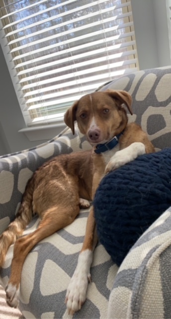 Entry image for Piton. Clicking this image will show a larger photo