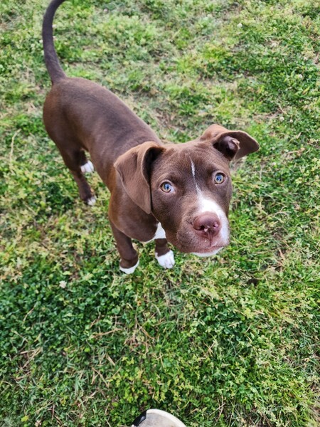 Entry image for Bruce. Clicking this image will show a larger photo