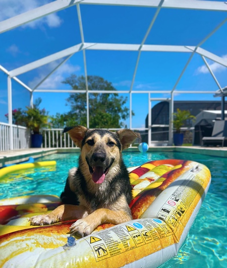 Entry image for Chief. Clicking this image will show a larger photo