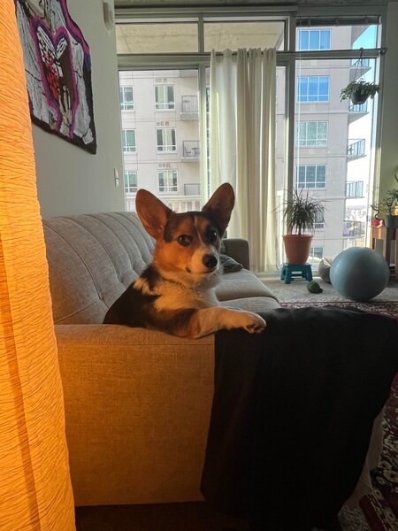 Entry image for Tobi. Clicking this image will show a larger photo