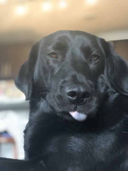 Entry image for Masha. Clicking this image will show a larger photo