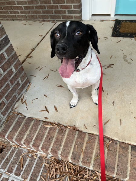 Entry image for Chandler. Clicking this image will show a larger photo