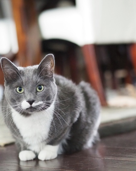 Entry image for Guinness. Clicking this image will show a larger photo