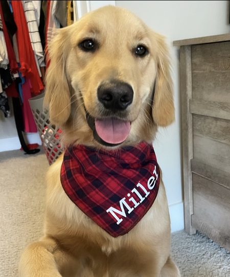 Entry image for Miller. Clicking this image will show a larger photo