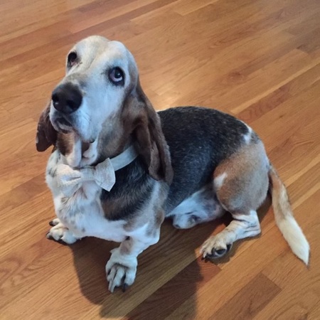 Entry image for George Werstlein. Clicking this image will show a larger photo