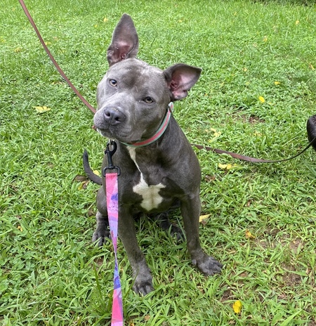 Entry image for Sky. Clicking this image will show a larger photo