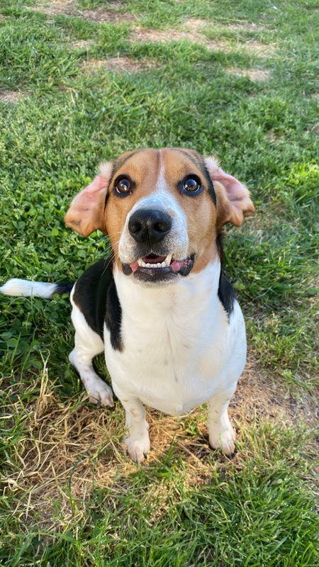 Entry image for Cash. Clicking this image will show a larger photo