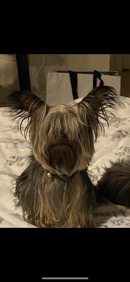 Entry image for Charlie. Clicking this image will show a larger photo