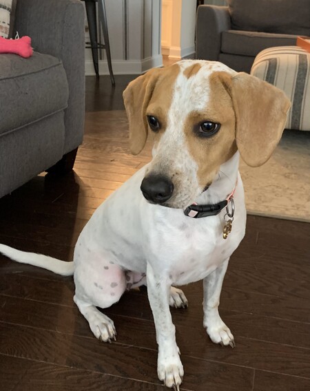 Entry image for Winnie. Clicking this image will show a larger photo