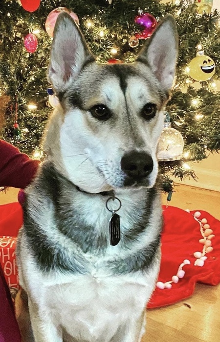 Entry image for T’Challa. Clicking this image will show a larger photo