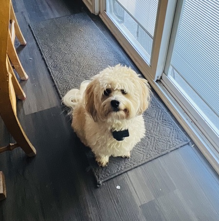 Entry image for Tucker . Clicking this image will show a larger photo