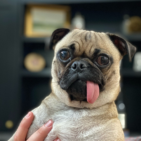 Entry image for Phillip. Clicking this image will show a larger photo