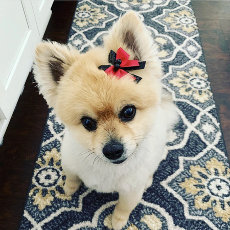 Entry image for Leila Grey. Clicking this image will show a larger photo