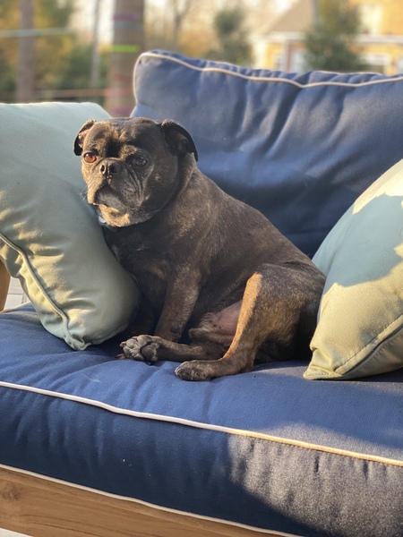 Entry image for Seymour. Clicking this image will show a larger photo