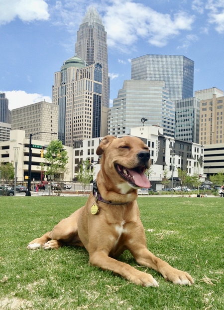 Entry image for Foster. Clicking this image will show a larger photo