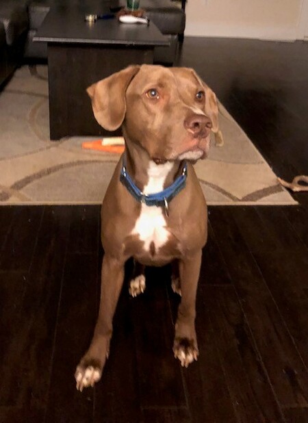 Entry image for Kuechly. Clicking this image will show a larger photo