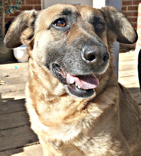 Entry image for Cope. Clicking this image will show a larger photo