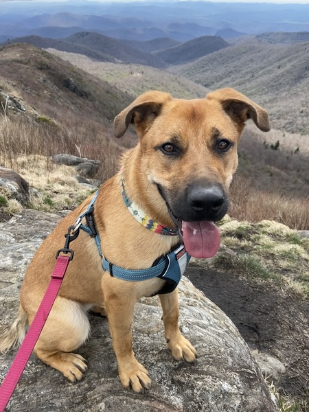 Entry image for Sasha. Clicking this image will show a larger photo