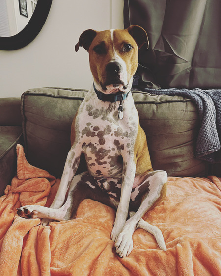 Entry image for Cash. Clicking this image will show a larger photo