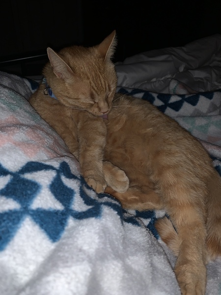 Entry image for William Edward III. Clicking this image will show a larger photo