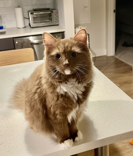 Zoe