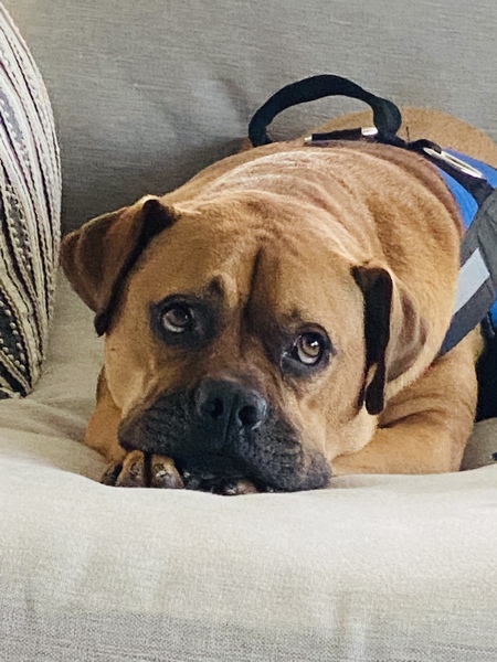 Entry image for Maverick . Clicking this image will show a larger photo