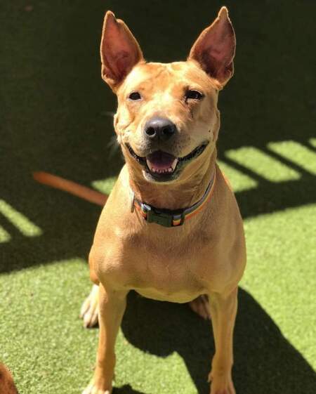 Entry image for Delia. Clicking this image will show a larger photo