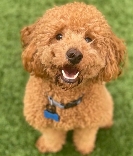 Entry image for Kemba. Clicking this image will show a larger photo