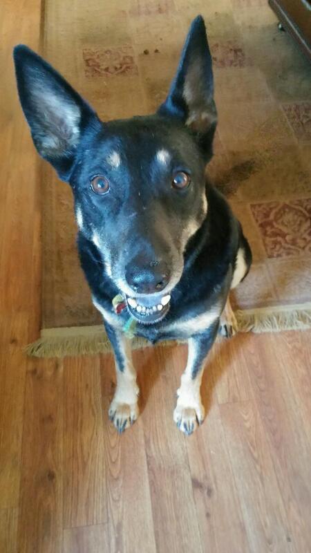 Entry image for Daisy Stoner. Clicking this image will show a larger photo