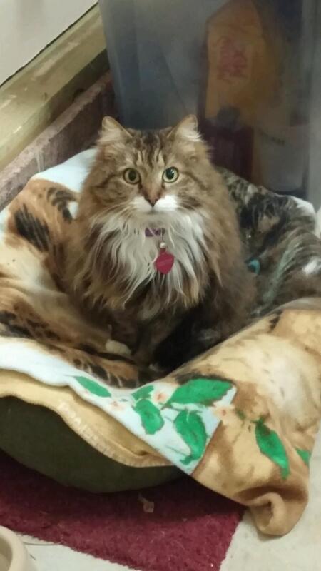 Entry image for Tommi Stoner. Clicking this image will show a larger photo