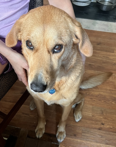 Entry image for Sable Stoner. Clicking this image will show a larger photo