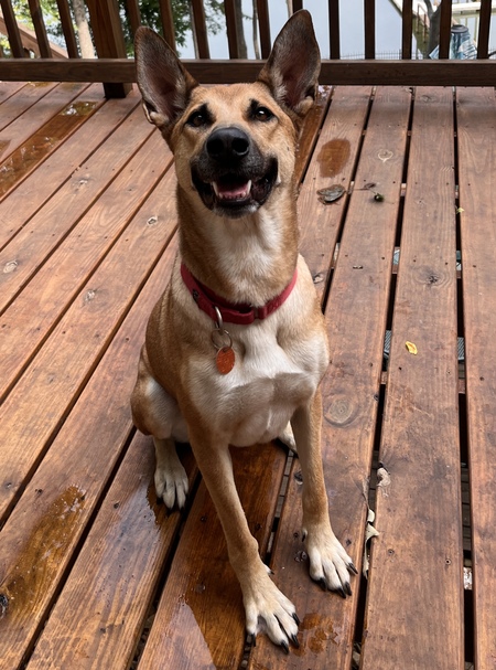 Entry image for Lucy Stoner. Clicking this image will show a larger photo