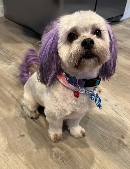 Entry image for Freya. Clicking this image will show a larger photo