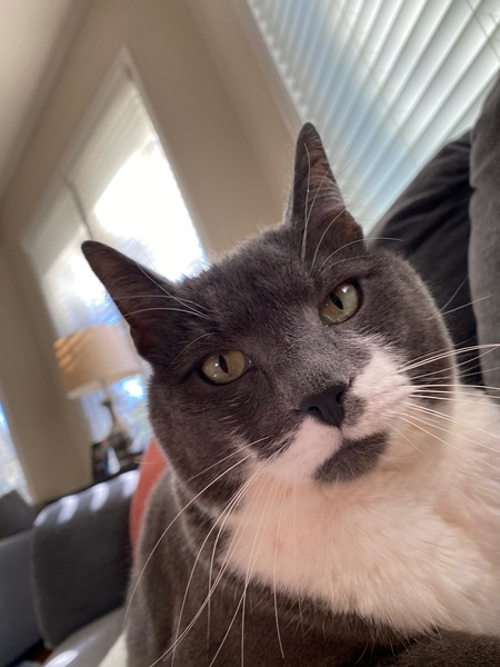 Entry image for Dave Grohl. Clicking this image will show a larger photo