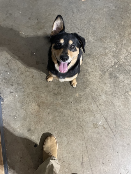 Entry image for Bean (as in coffee bean). Clicking this image will show a larger photo