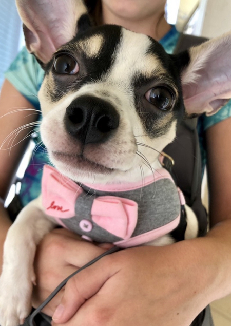 Entry image for Blue. Clicking this image will show a larger photo