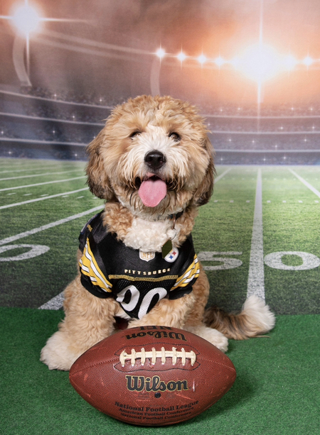 Entry image for Ridge. Clicking this image will show a larger photo