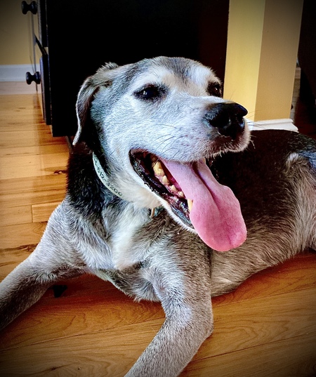 Entry image for Nate. Clicking this image will show a larger photo