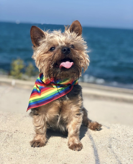 Entry image for Kobe. Clicking this image will show a larger photo