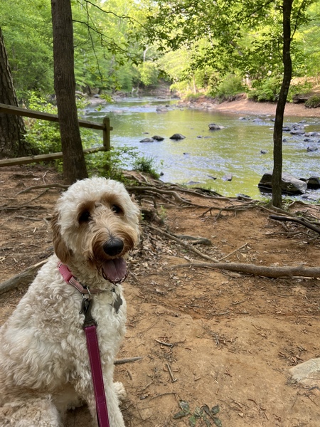 Entry image for Ceyda . Clicking this image will show a larger photo