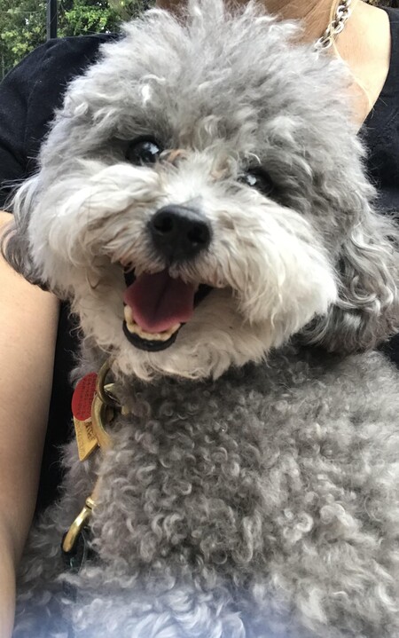 Entry image for Hefner. Clicking this image will show a larger photo