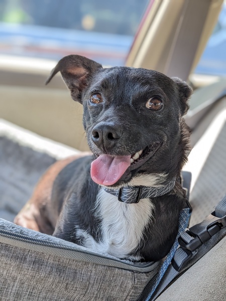 Entry image for Legend. Clicking this image will show a larger photo