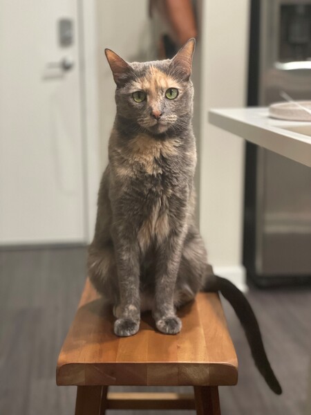 Entry image for Flora. Clicking this image will show a larger photo