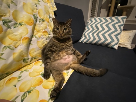 Entry image for Jess. Clicking this image will show a larger photo