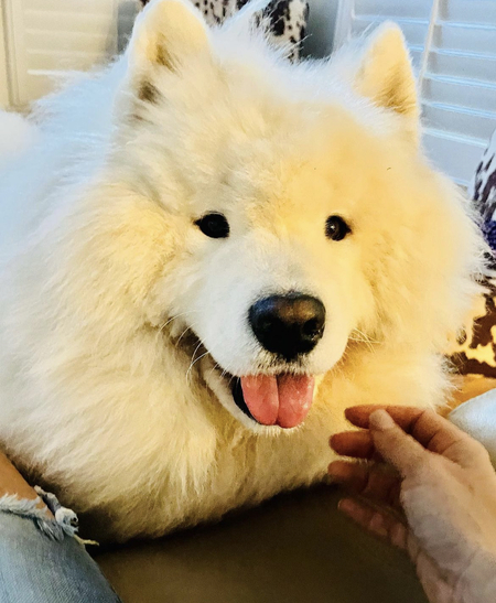 Entry image for Ocean. Clicking this image will show a larger photo