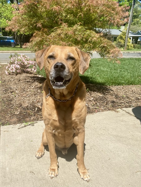 Entry image for Tanner. Clicking this image will show a larger photo