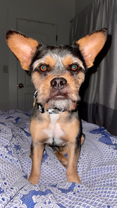 Entry image for Jeff. Clicking this image will show a larger photo